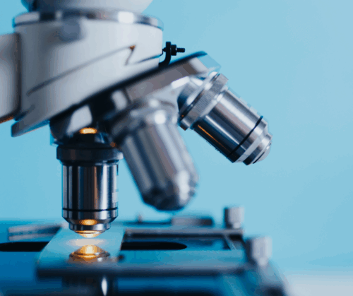 Studien bioidentische Hormone